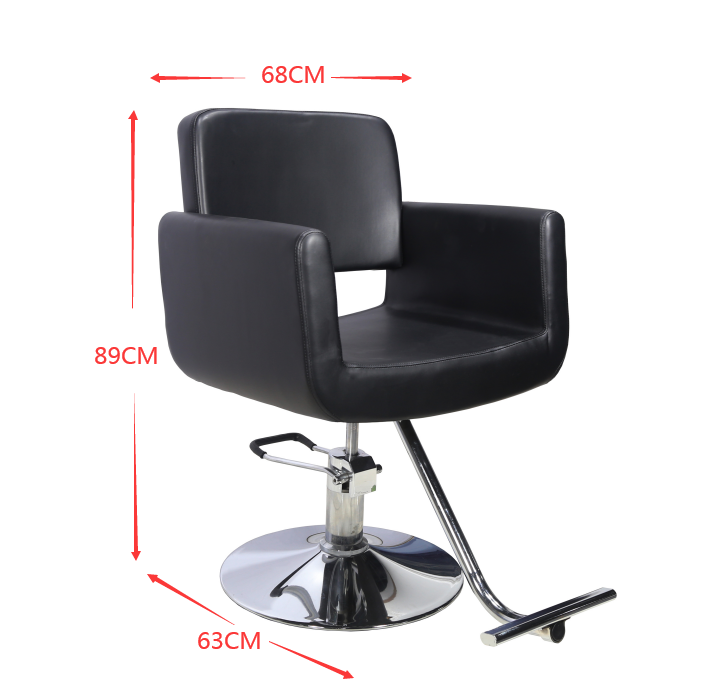 Model-648 Styling Chair