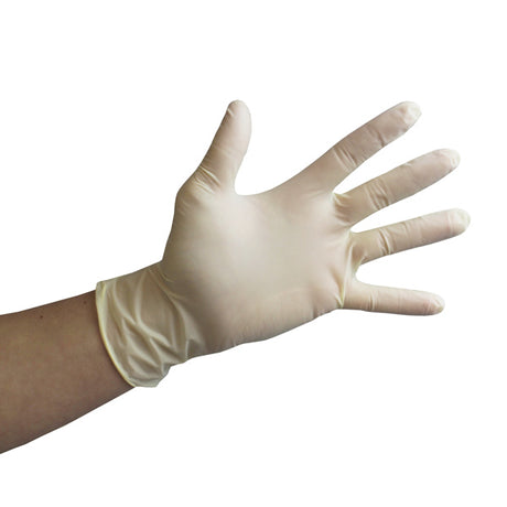 Latex Gloves Powder Free 100pc/Box